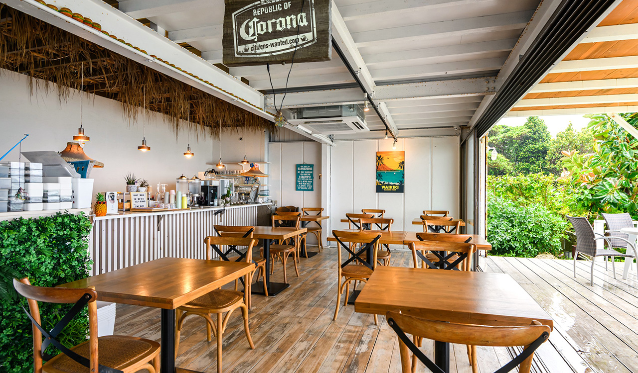 チャハヤブラン