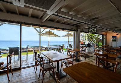 チャハヤブラン