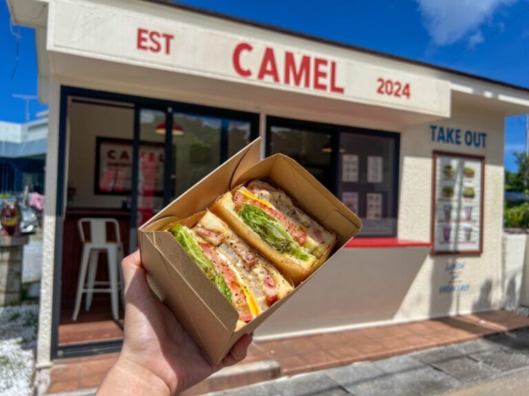 CAMEL SANDWICH & SMOOTHIE