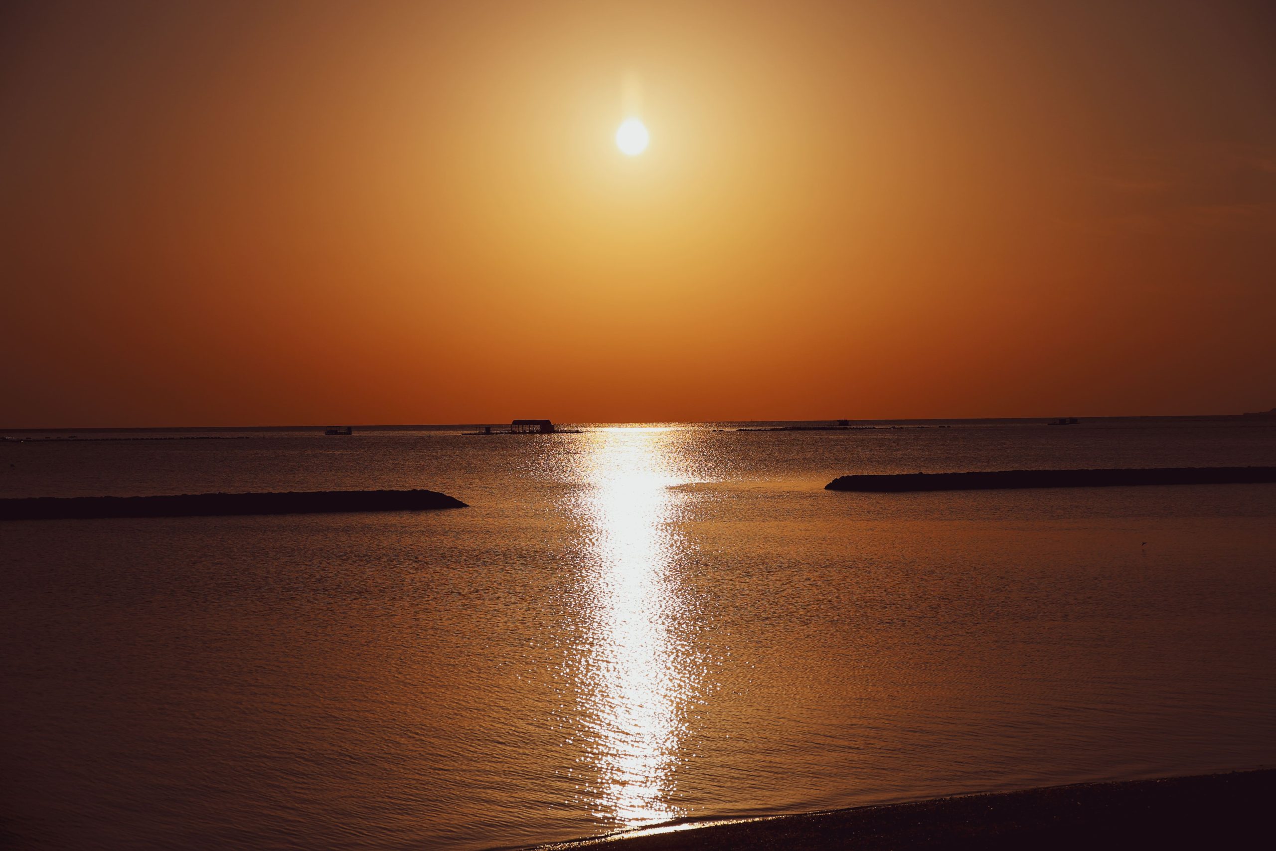 サンセットクルーズ 1